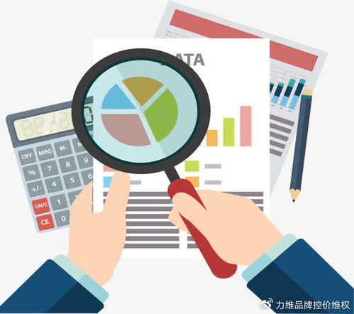 專業(yè)電商數(shù)據(jù)分析服務(wù) 數(shù)據(jù)處理如何賦能品牌破局增長(zhǎng)